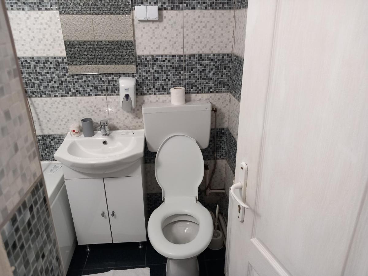 Vila Davison Targu Jiu Bagian luar foto
