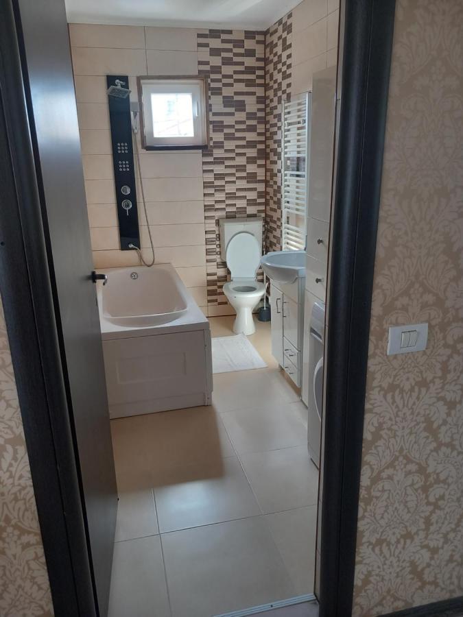 Vila Davison Targu Jiu Bagian luar foto
