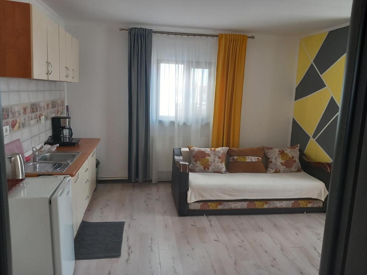 Vila Davison Targu Jiu Bagian luar foto