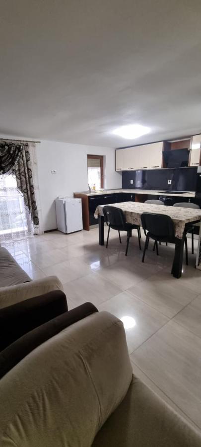 Vila Davison Targu Jiu Bagian luar foto