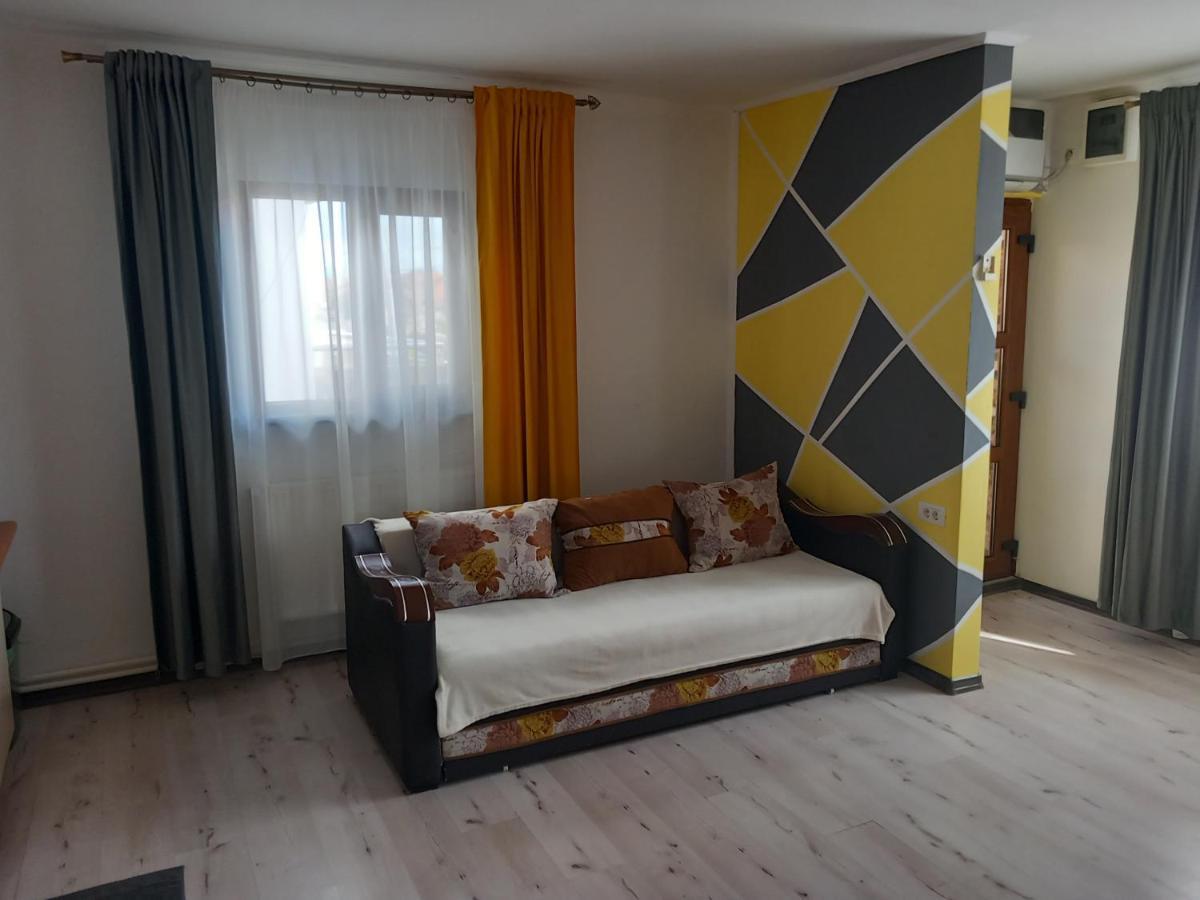 Vila Davison Targu Jiu Bagian luar foto