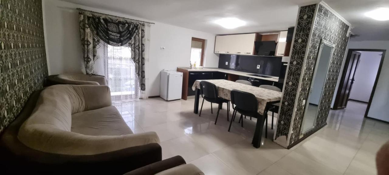 Vila Davison Targu Jiu Bagian luar foto