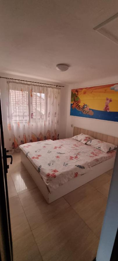 Vila Davison Targu Jiu Bagian luar foto